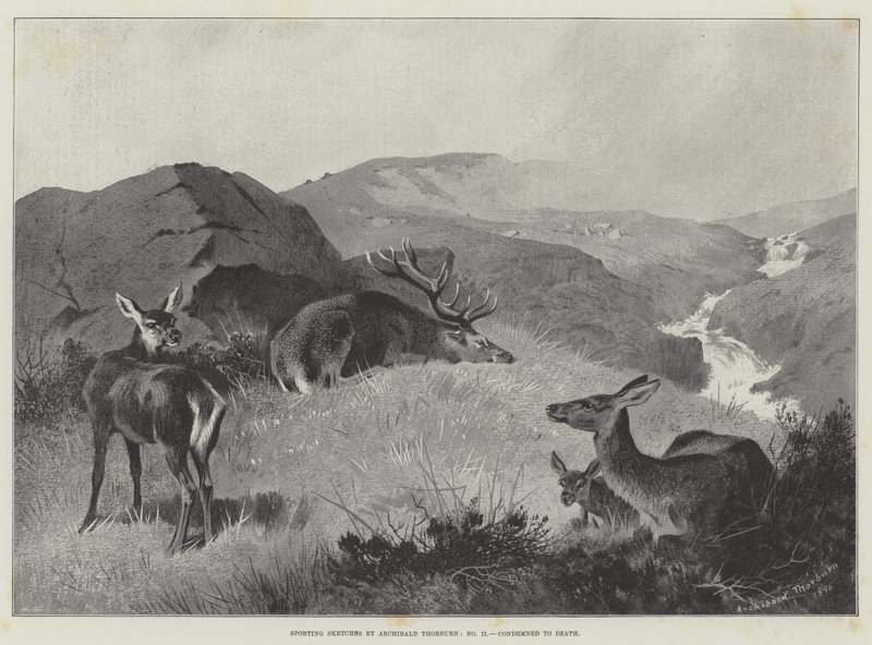Ölüme Mahkûm Edilen Sportif Skeçler by Archibald Thorburn