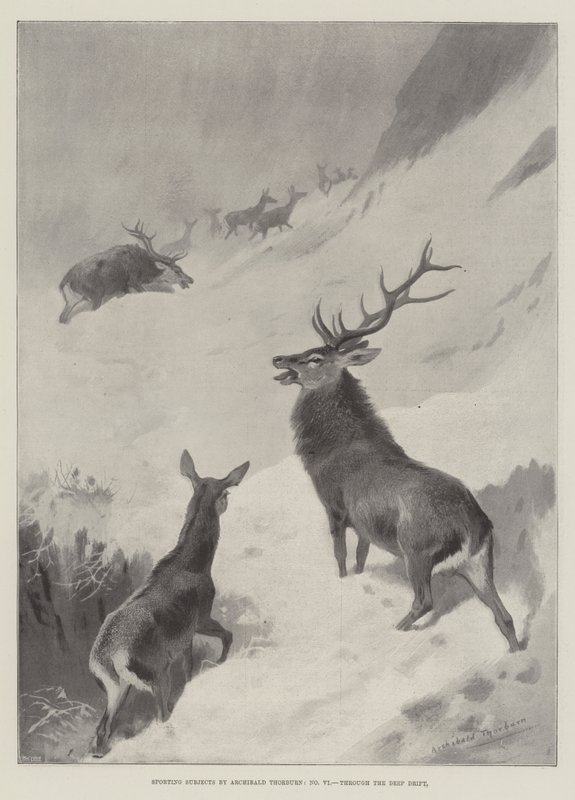 Derin Drift Yoluyla Spor Konuları by Archibald Thorburn