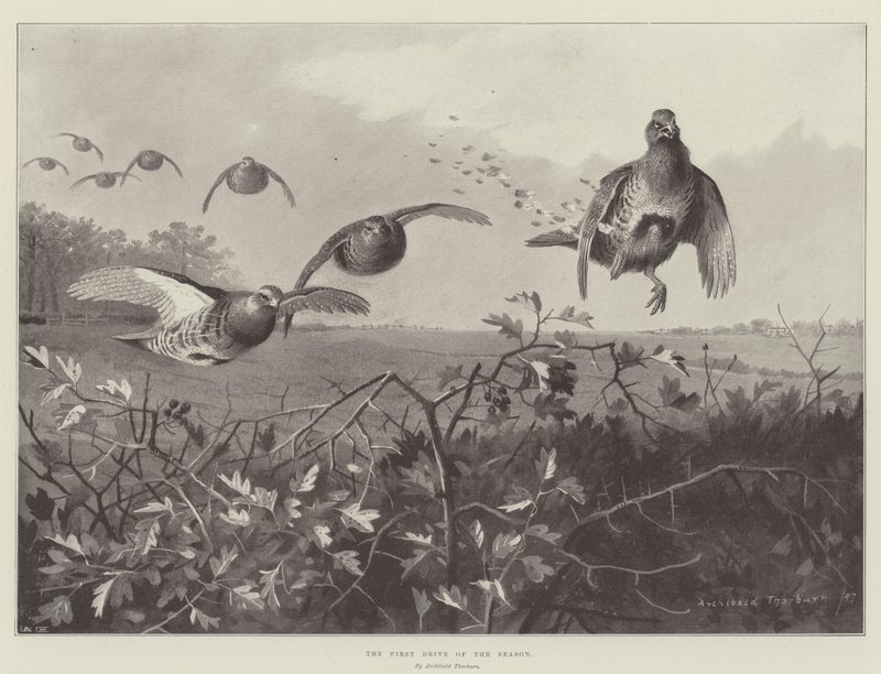 Sezonun İlk Sürüşü by Archibald Thorburn
