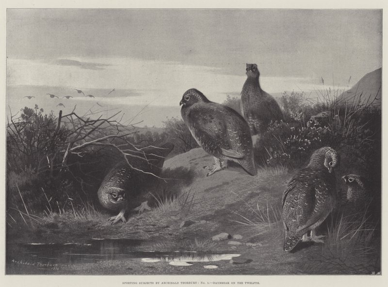 Spor Konuları, On İkinci Şafak by Archibald Thorburn