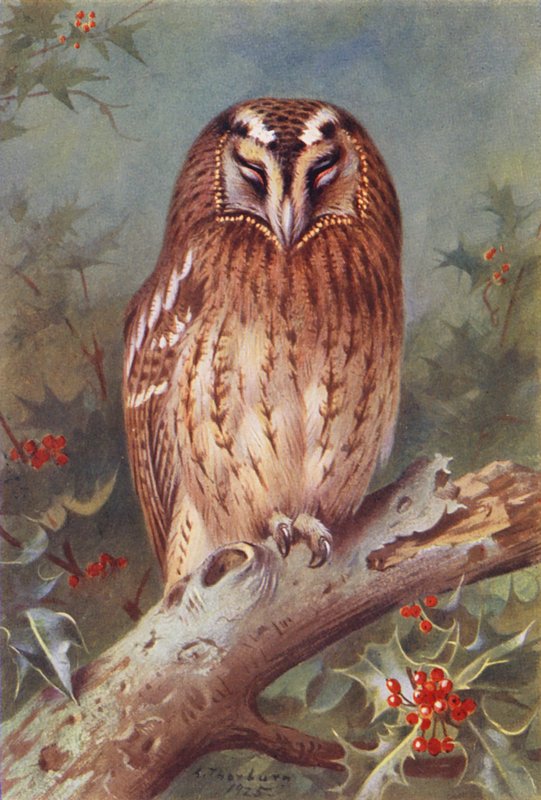  by Archibald Thorburn