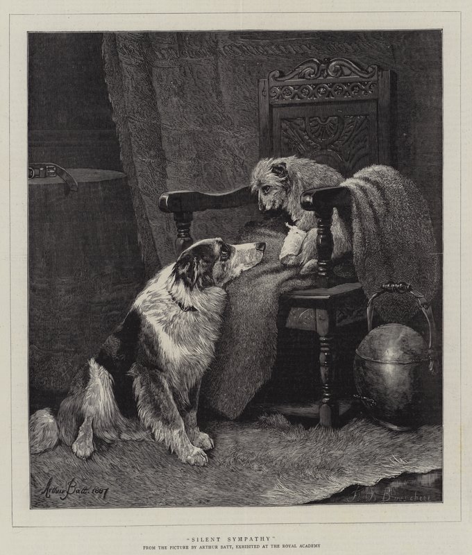 sessiz sempati by Arthur Batt