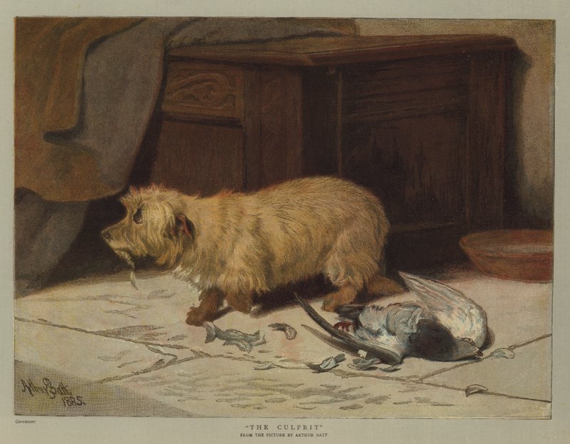 Suçlu (kromolitho) by Arthur Batt