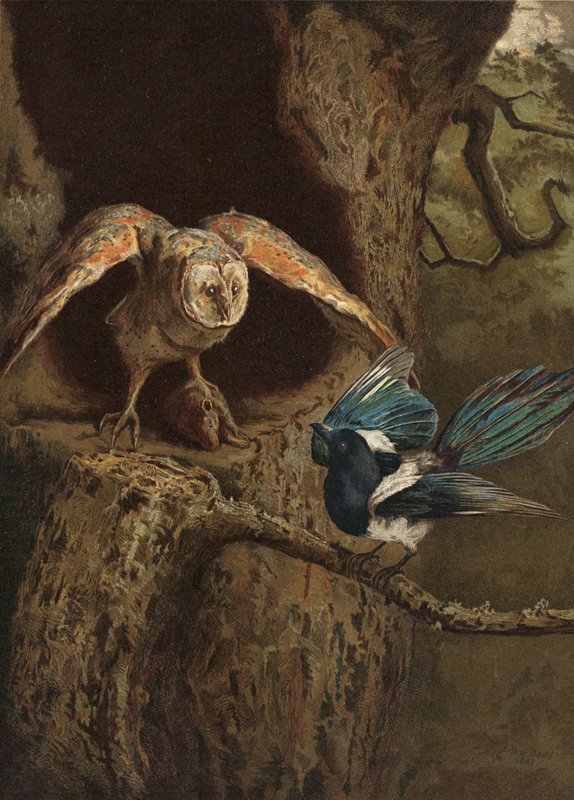 Wit and Wisdom  by Arthur Charles Dodd