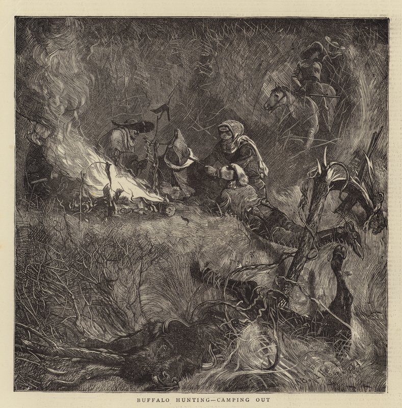 Bufalo Avı, kamp yapmak by Arthur Boyd Houghton