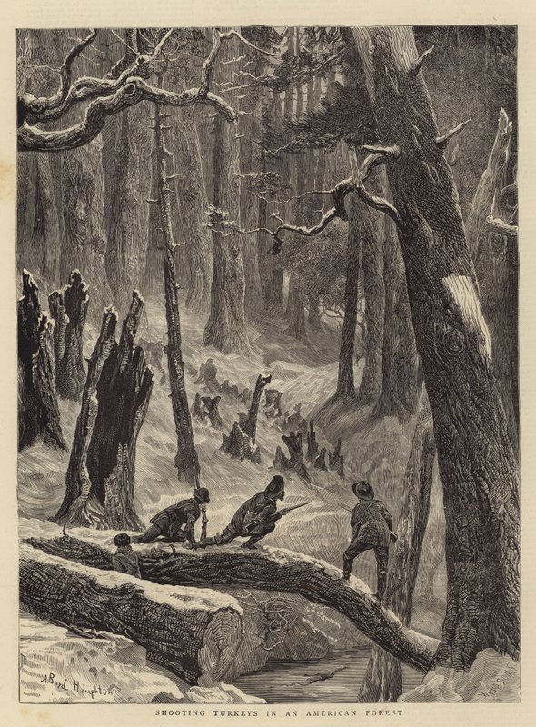 Bir Amerikan Ormanında Hindi Vurmak by Arthur Boyd Houghton