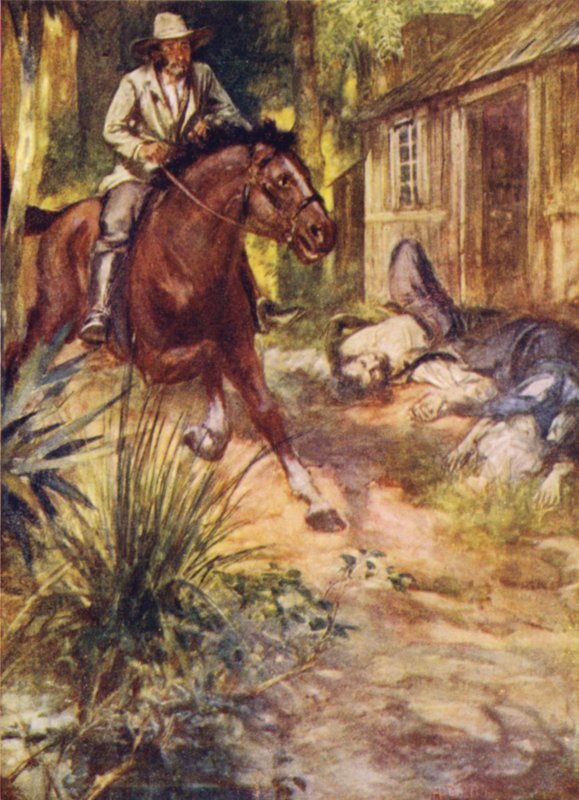 Butters alarm veriyor, Poverty Bay by Arthur David McCormick