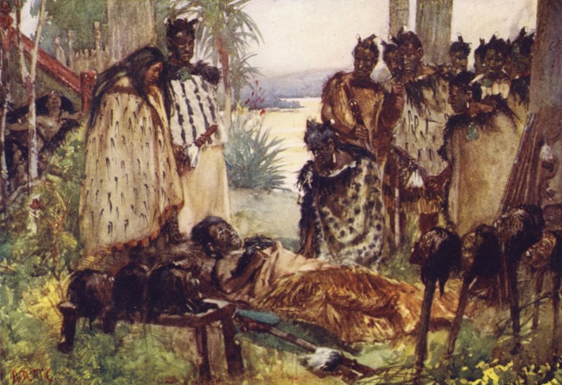 Hongos