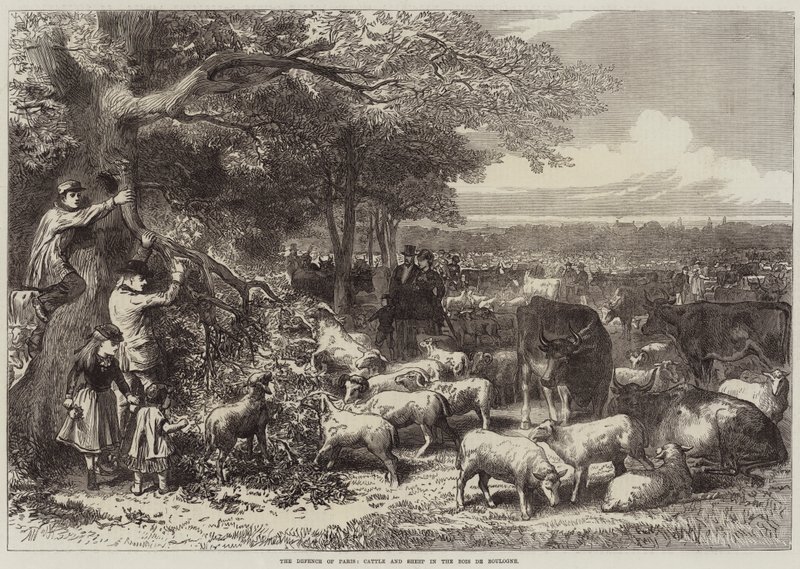 Bois de Boulogne