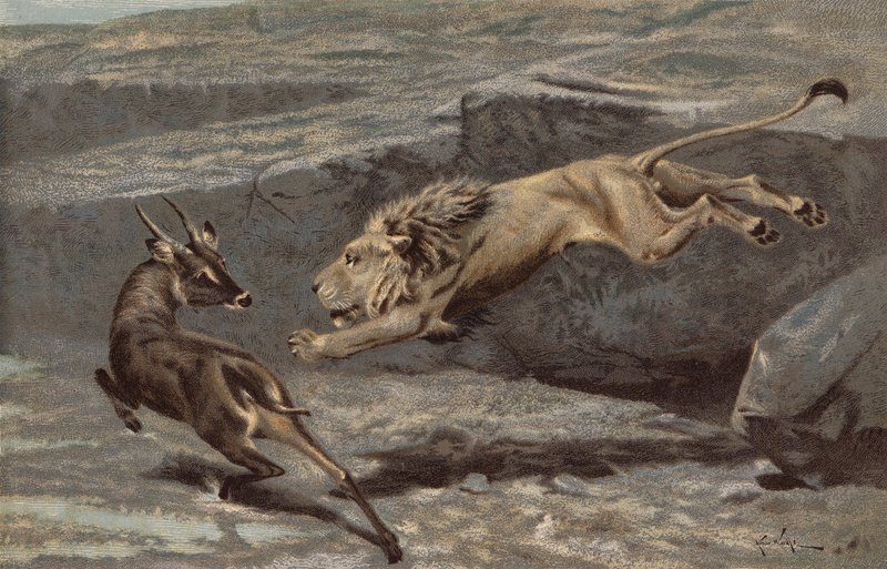  by Arthur Wardle