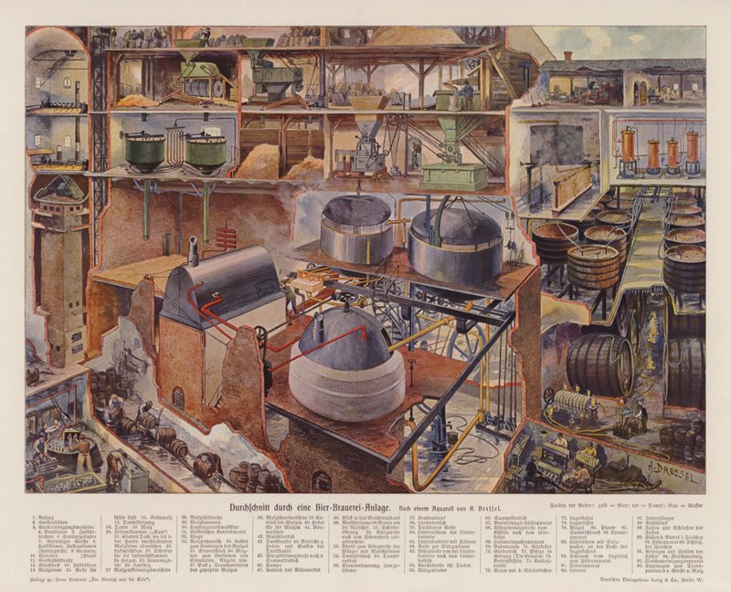 Bir bira fabrikasının kesiti (renkli lito) by August (after) Dressel