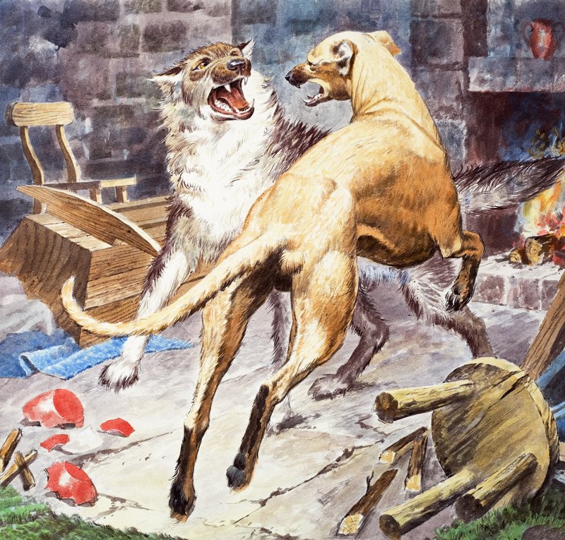 Cesur Gelert by Barrie Linklater
