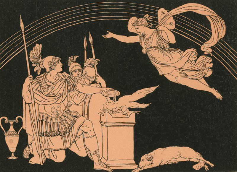 Turnus