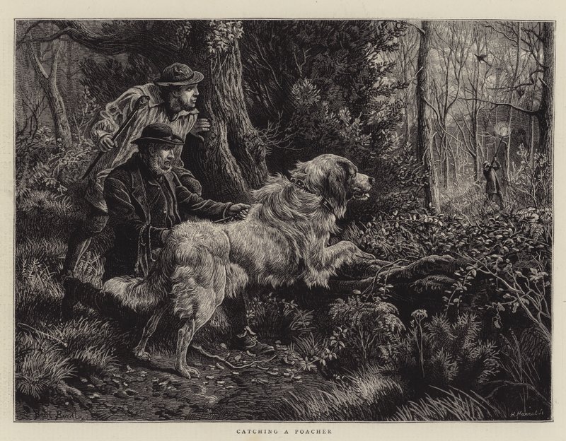 Bir Kaçak Avcıyı Yakalamak by Basil Bradley