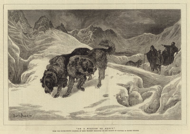 Merhamet Görevinde by Basil Bradley