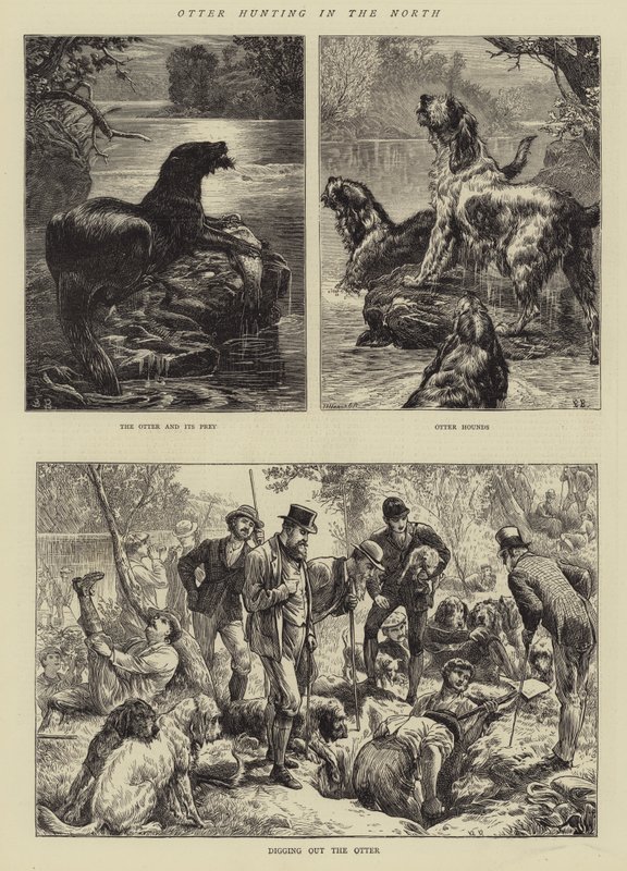 Kuzeyde su samuru avı by Basil Bradley
