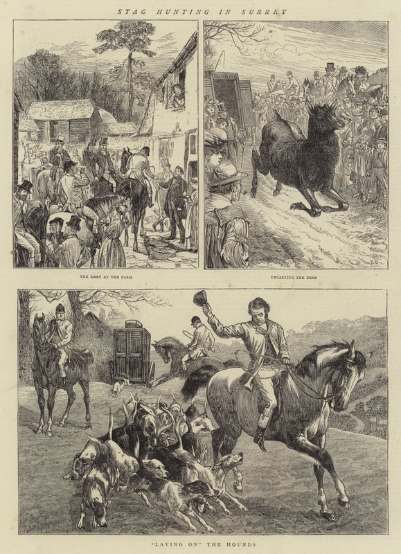 Surrey