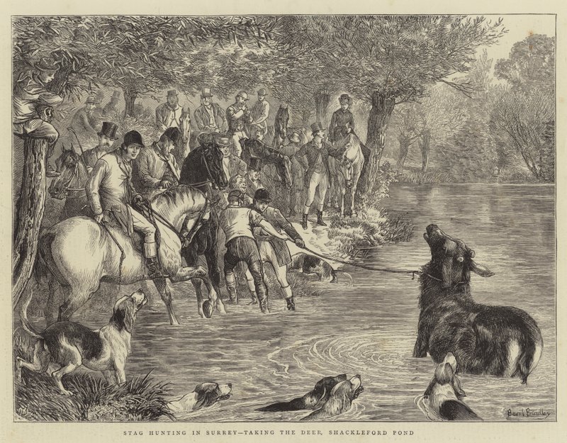 Surrey