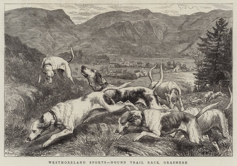 Westmoreland Sports, Hound Deneme Yarışı, Grasmere by Basil Bradley