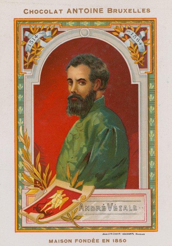 Andreas Vesalius, 16. Yüzyıl Flaman anatomisti ve hekimi by Belgian School