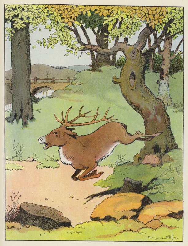 Stag running through a forest  by Benjamin Rabier