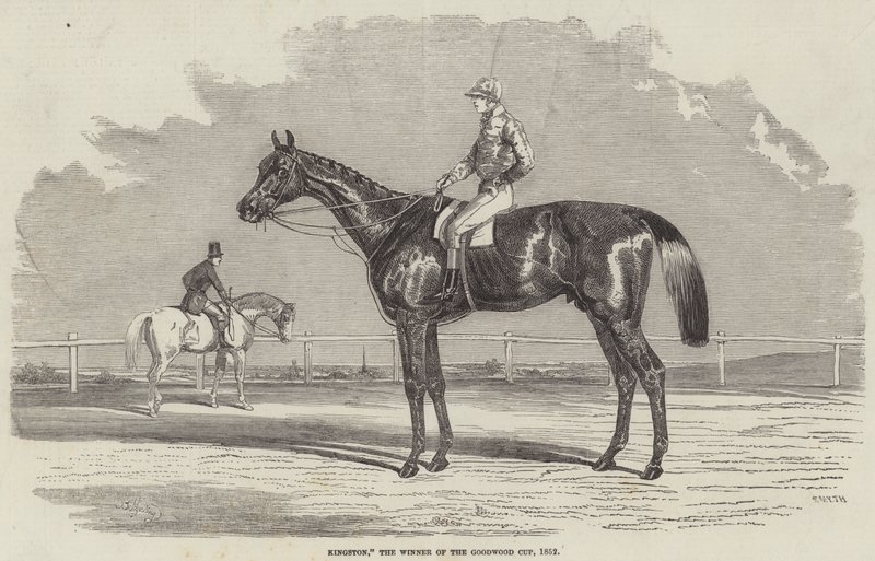 Kingston, Goodwood Kupasının Kazananı, 1852 by Benjamin Herring