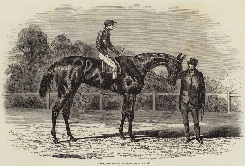 Nancy, Goodwood Kupasını Kazanan, 1851 by Benjamin Herring