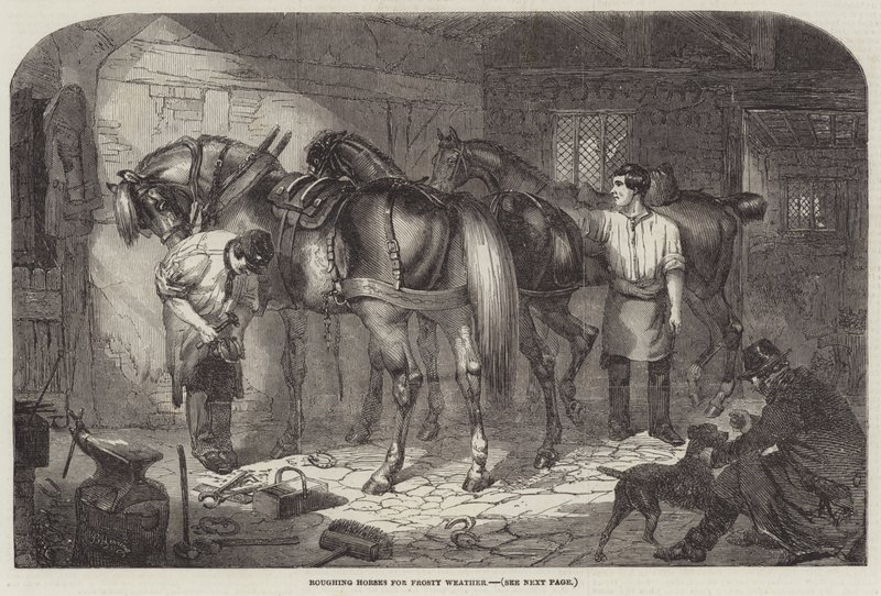 Ayaz Havalar İçin Kaba Atlar by Benjamin Herring