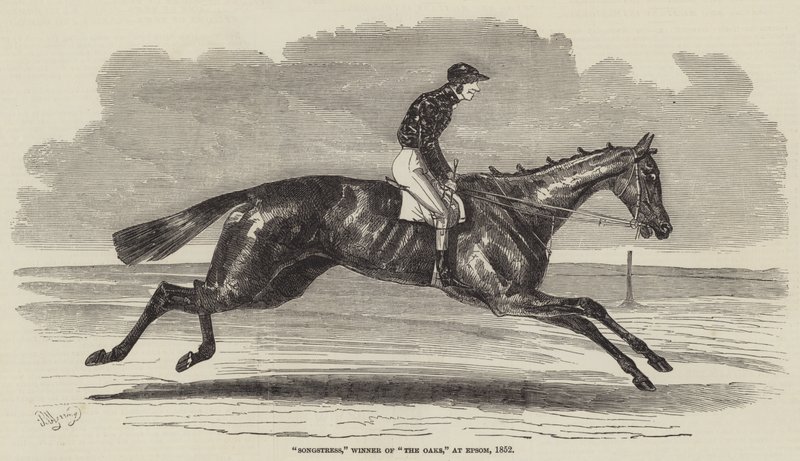 ಸಾಂಗ್ಸ್ಟ್ರೆಸ್, ಓಕ್ಸ್ ವಿಜೇತ, ಎಪ್ಸಮ್ನಲ್ಲಿ, 1852 ಟರ್ಕ್ by Benjamin Herring