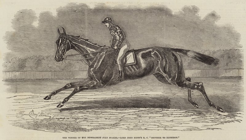 Newmarket July Stakes Kazanan, Lord John Scott