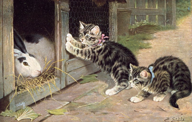 Kedi kartpostalı (renkli litho) by Bernard Cobbe