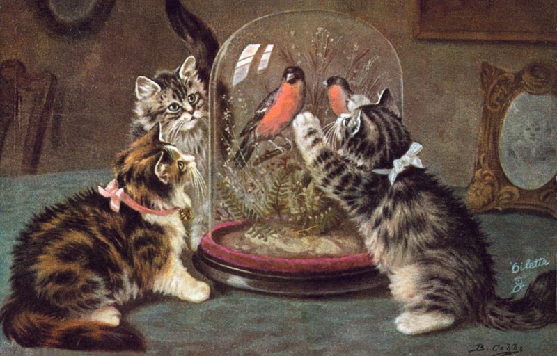 by Bernard Cobbe