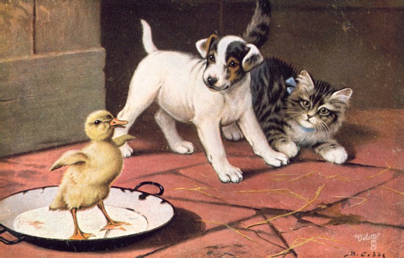  by Bernard Cobbe