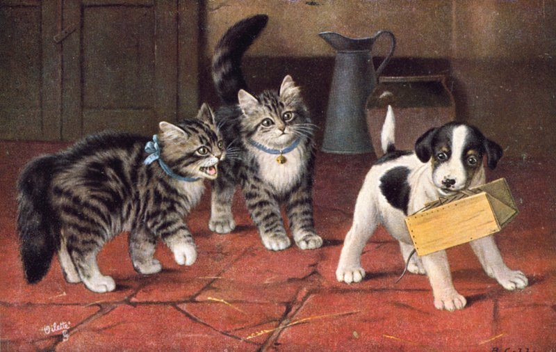  by Bernard Cobbe