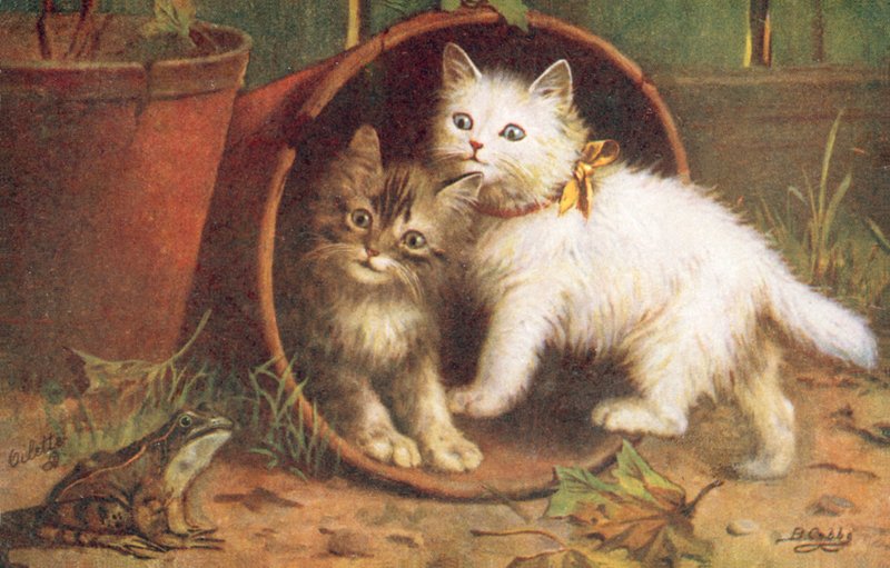  by Bernard Cobbe