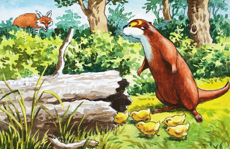Su Samuru Fliptail by Bert Felstead