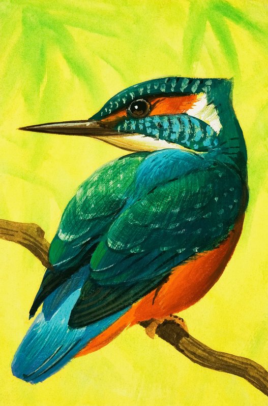 Kingfisher. by Bob Hersey