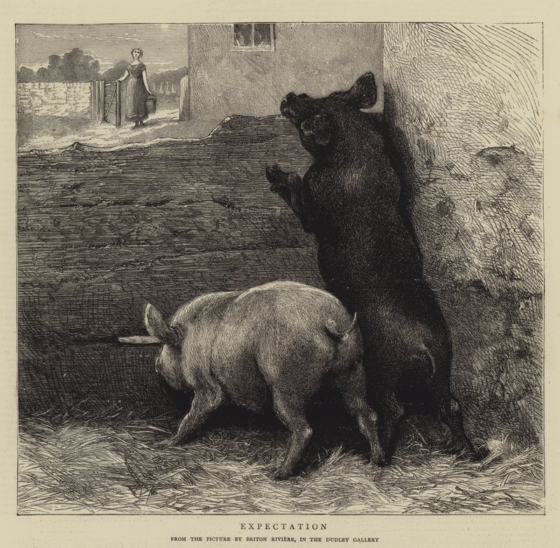 beklenti by Briton Riviere