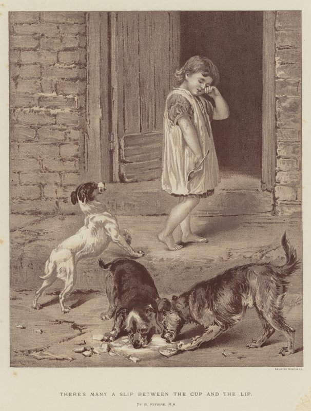 ಕಪ್ ಮತ್ತು ಲಿಪ್ ಟರ್ಕ್ ನಡುವೆ ಅನೇಕ ಸ್ಲಿಪ್ ಇದೆ by Briton Riviere
