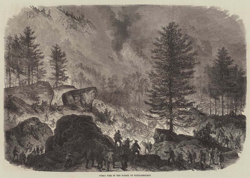 Fontainebleau Ormanında Büyük Yangın by Burn Smeeton