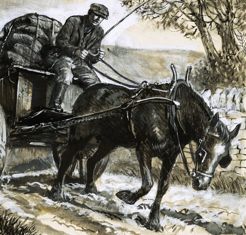 Atlar yetersiz besleniyor ve aşırı çalıştırılıyordu by C.L. Doughty