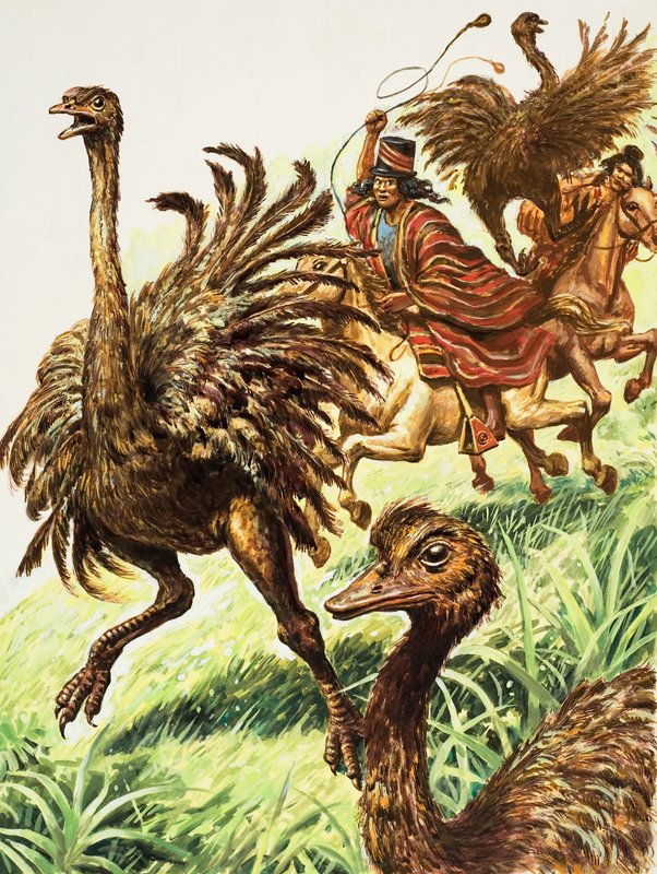 Rheas (kağıt üzerine guaj) by C.L. Doughty