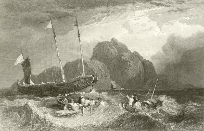 Kaplan Adası by C. Stanfield