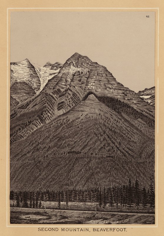  by Canadian School