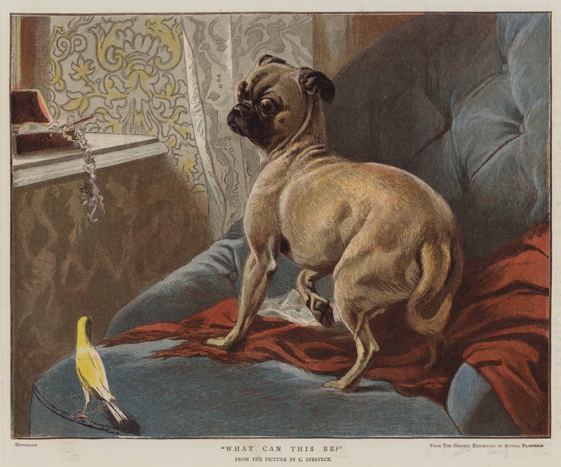 Bu ne olabilir (kromolito) by Carl Constantin Steffeck