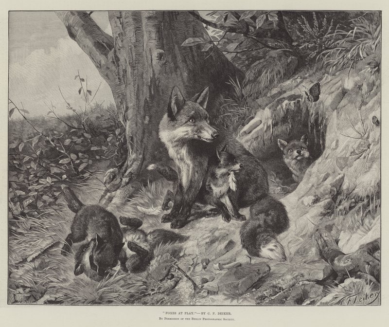 Play turk ನಲ್ಲಿ ನರಿಗಳು by Carl Friedrich Deiker