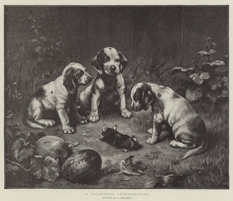 Bilimsel Bir Araştırma by Carl Reichert