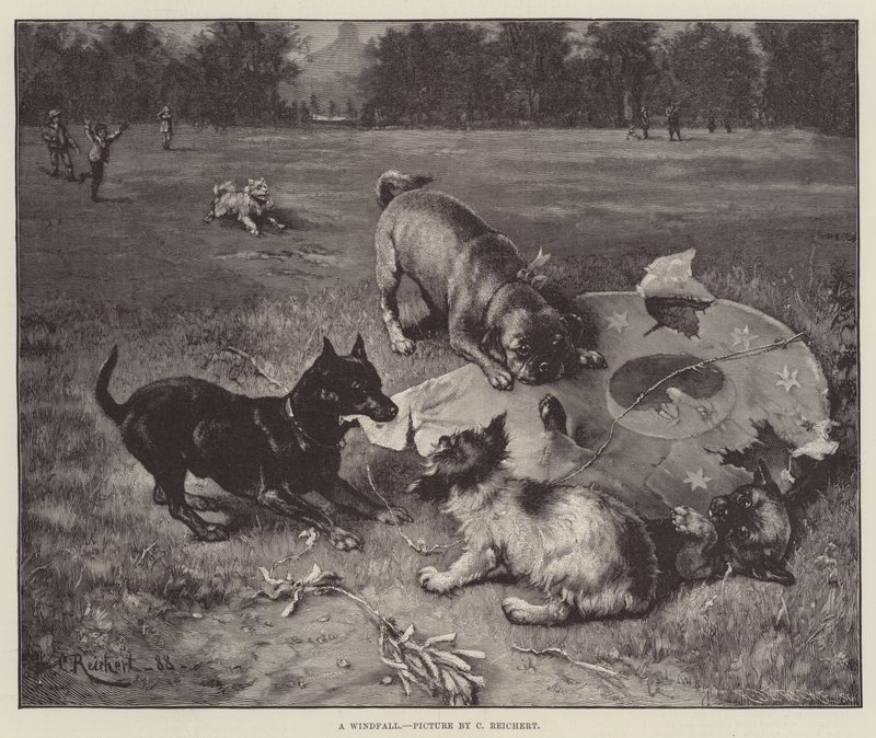 Bir Düşüş by Carl Reichert