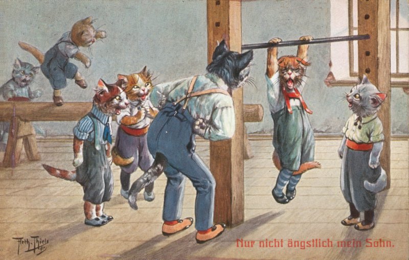 Esprili kedi kartpostalı (renkli litho) by Carl Robert Arthur Thiele