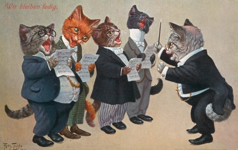 Esprili kedi kartpostalı (renkli litho) by Carl Robert Arthur Thiele